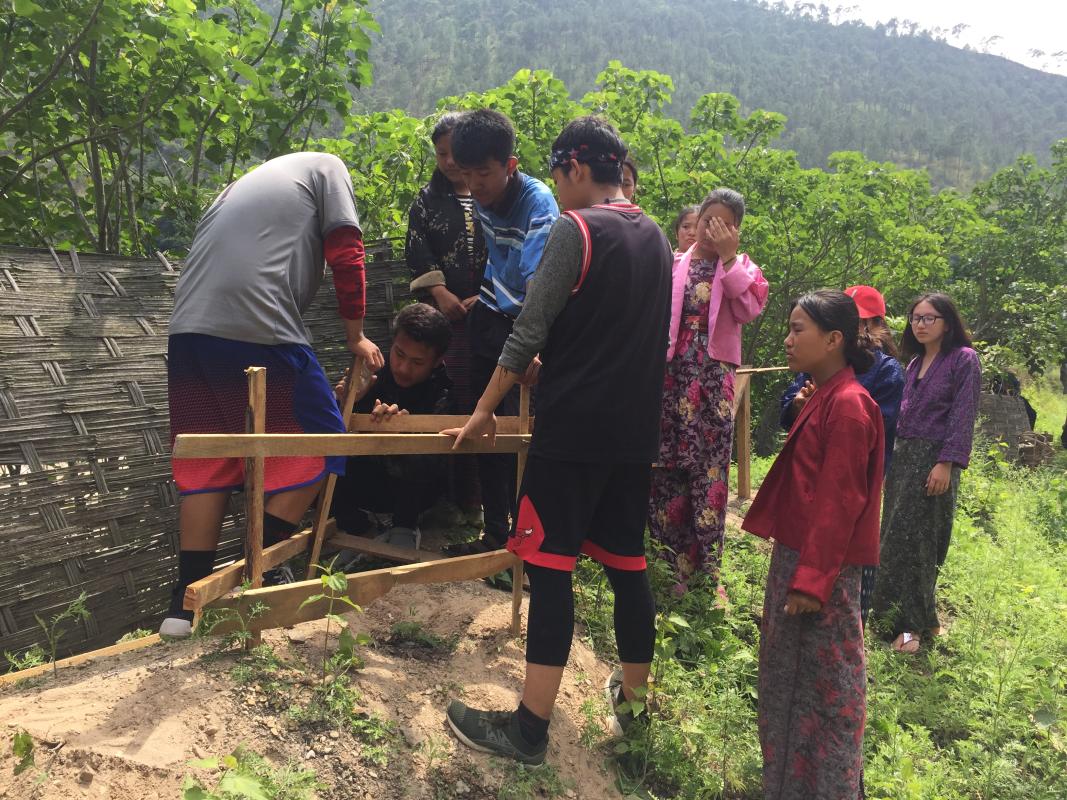 Tree plantation