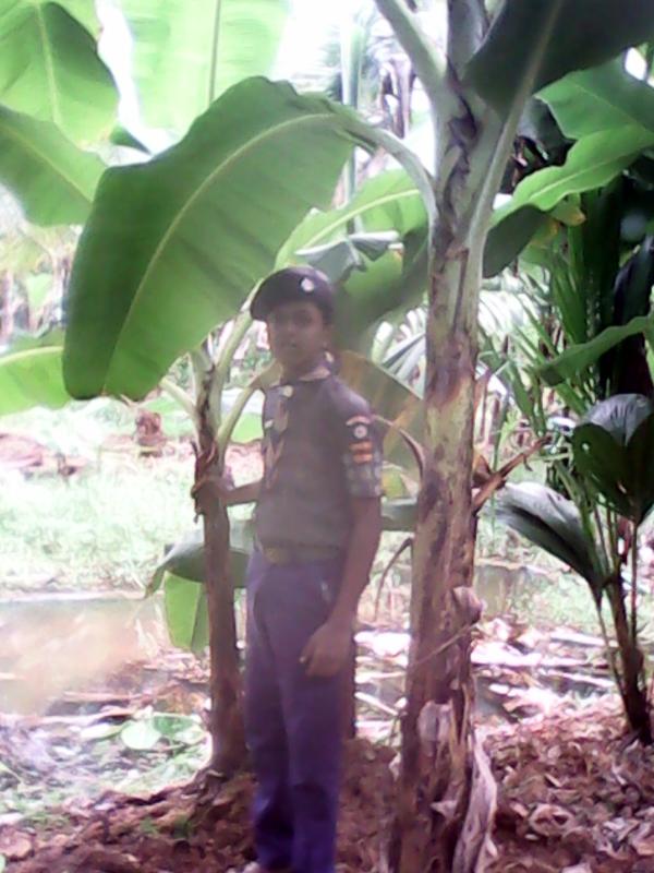FARM  SERVICE