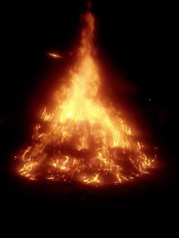 Holi Celebration in Old Age Home by Scouts