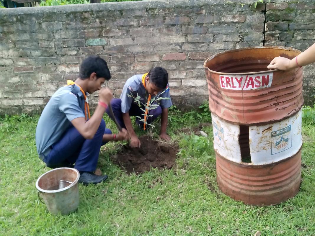 afforestation campaign