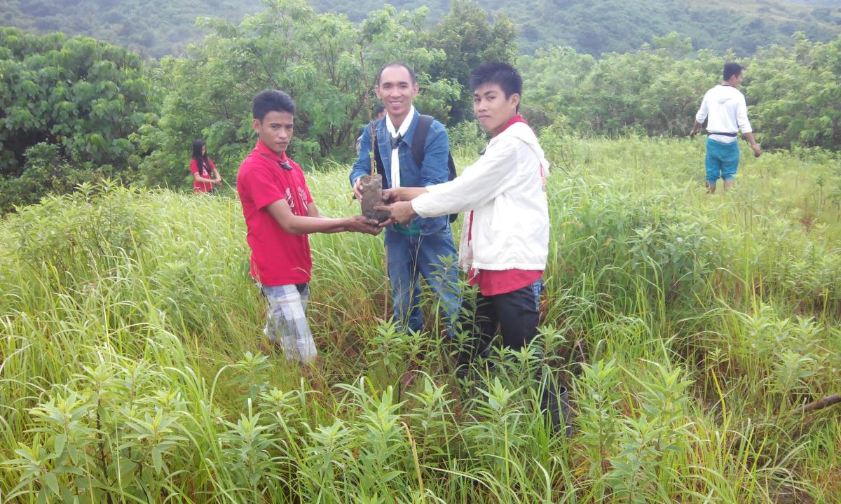 tree planting activity