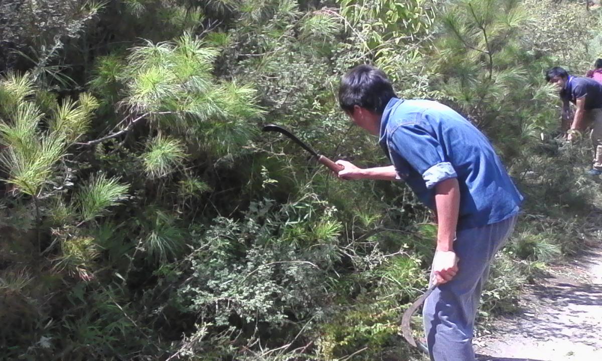 Charity Begins at Home