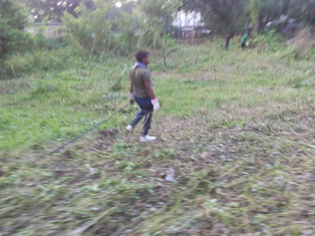 cleanliness program 