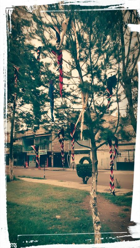 Arbol de pañoletas