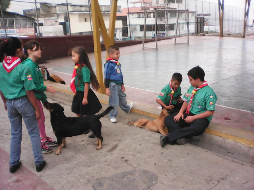 Los animales de la calle tambien son seres vivos