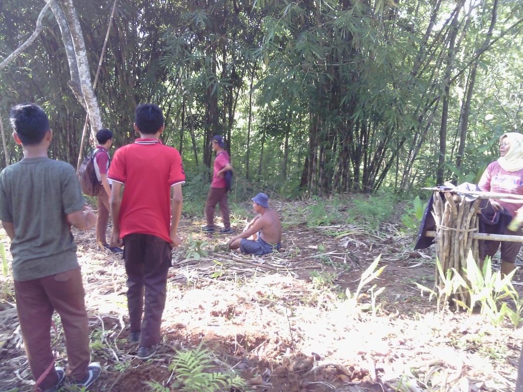 ROVER SCOUT TOURING