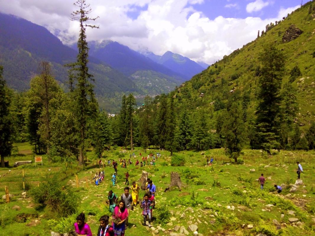 Plantation 17 Aug 2015