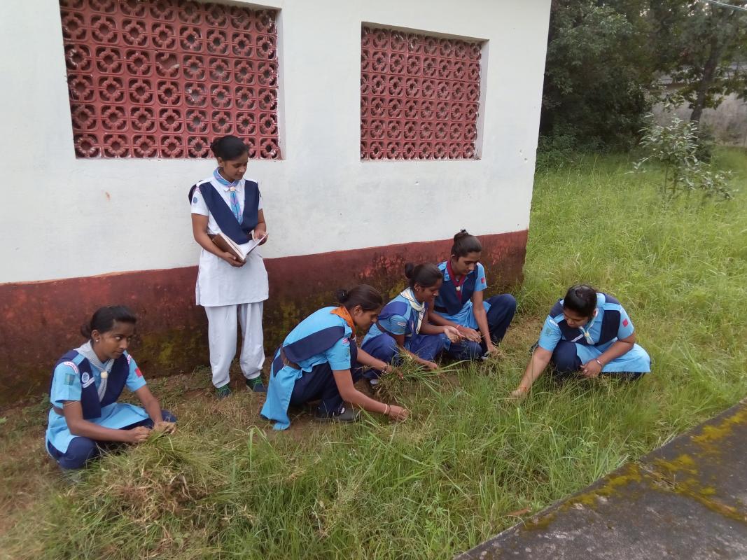 ROVER RANGER SERVICE CAMP CUM S.B.S.B. ABHIYAN