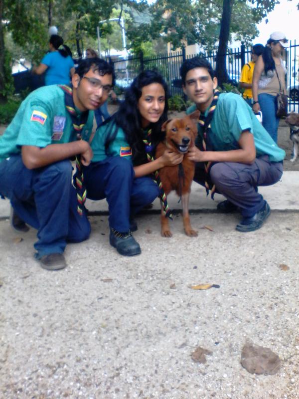 ALTO! NO AL MALTRATO ANIMAL