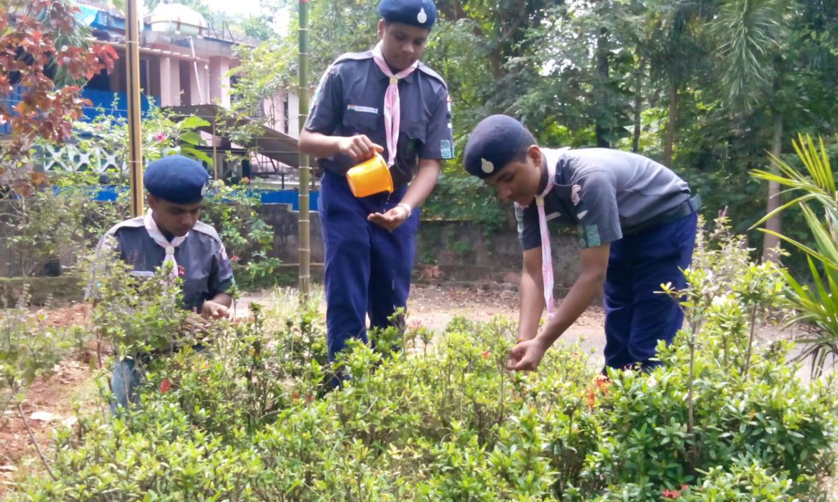 36 hours social service
