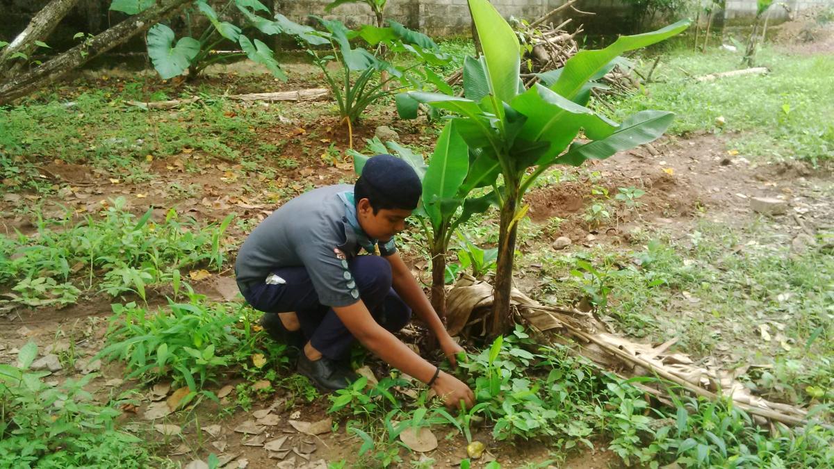 Environment