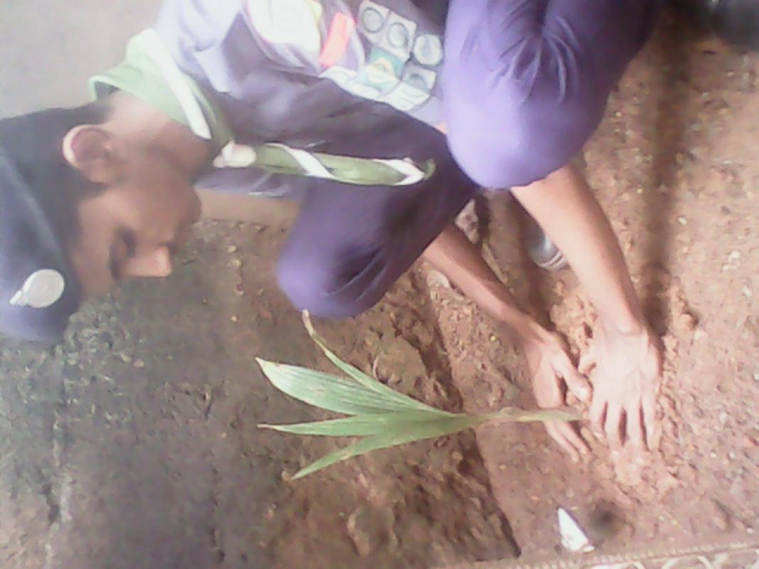 preservation of greenery