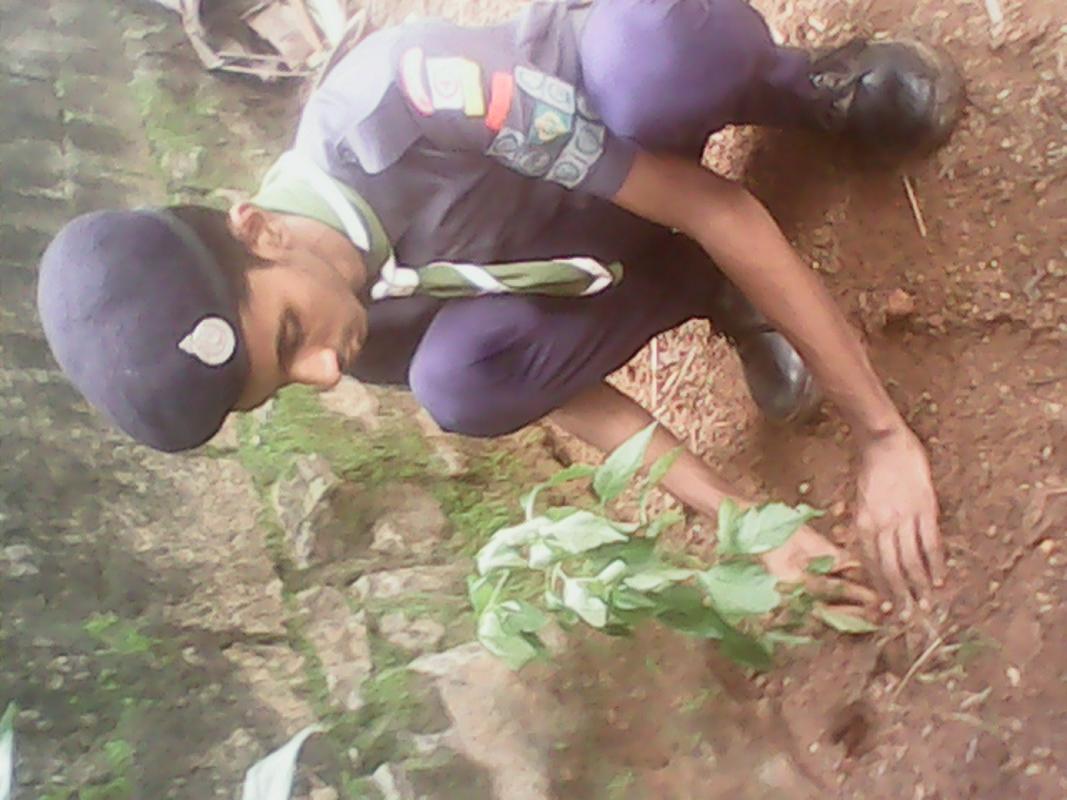 preservation of greenery