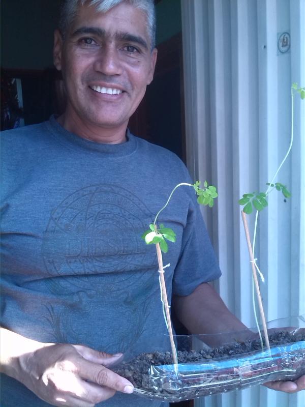 LA MORINGA. "ARBOL DE LA VIDA.. continuacion del proyecto. supervision de como van los arbolitos sembrados