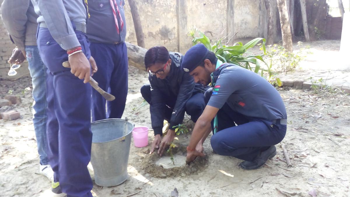 Save tree save life