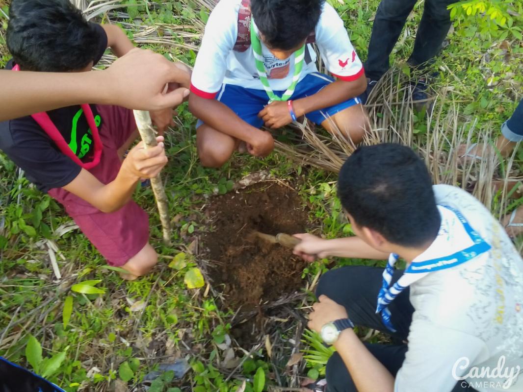 Tree Planting