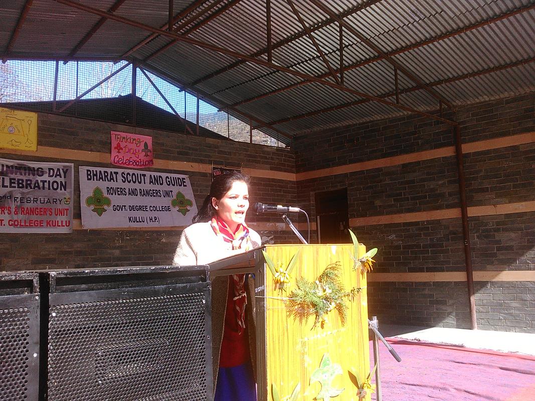 Thinking day celebration