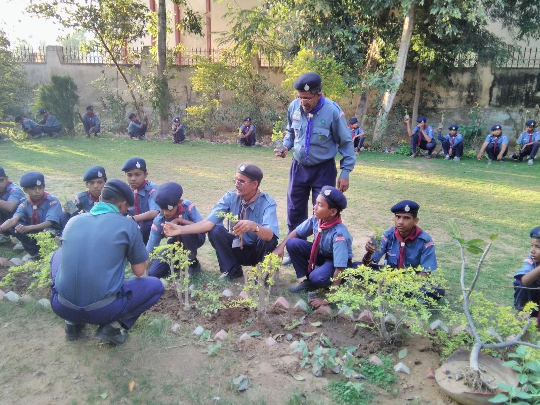 Environment Awareness cum tree plantation