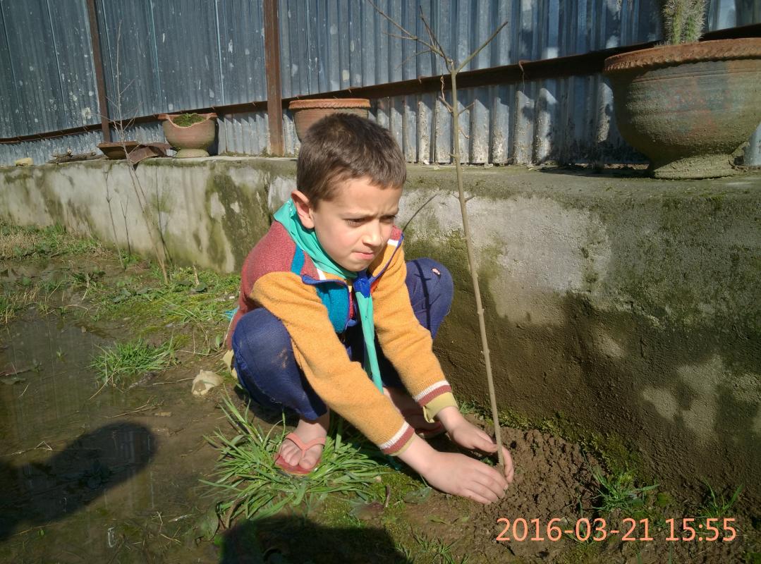 Plantation Drive