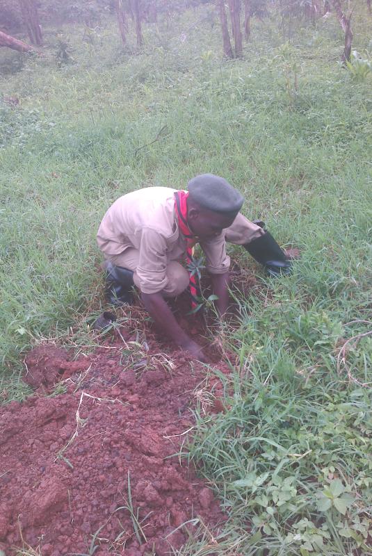 THE EASTERN AFRICA ZONAL SCOUT PEACE CARAVAN TOUR, PROPOSAL 2016