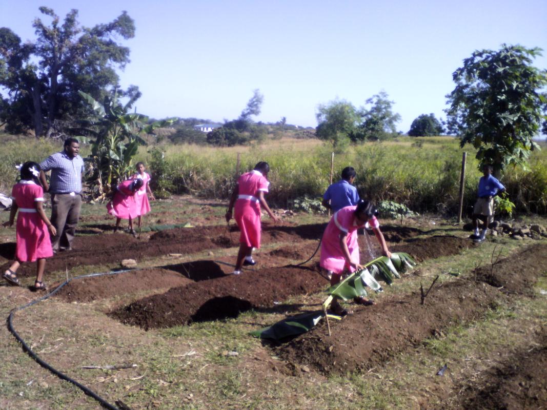 INVEST IN FOOD SECURITY