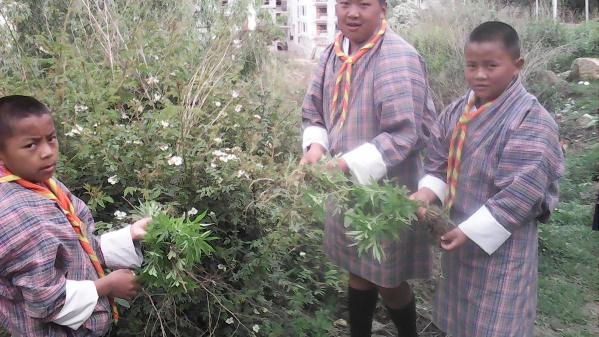  International Peace Day.