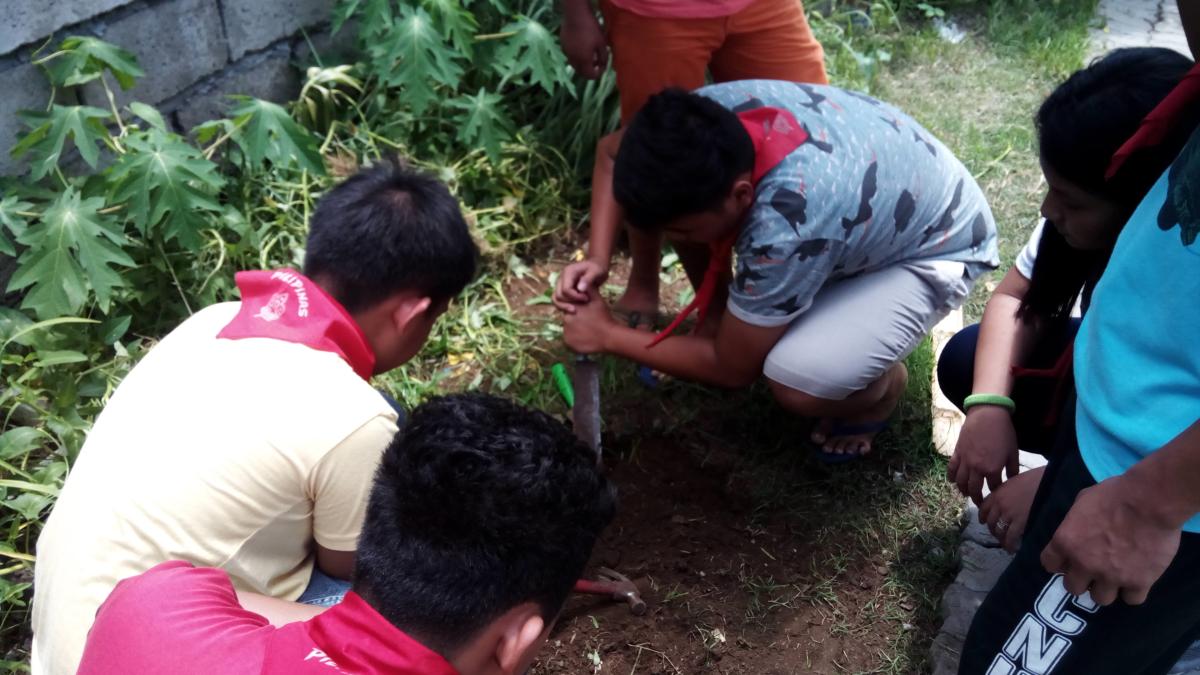 World Environment Day