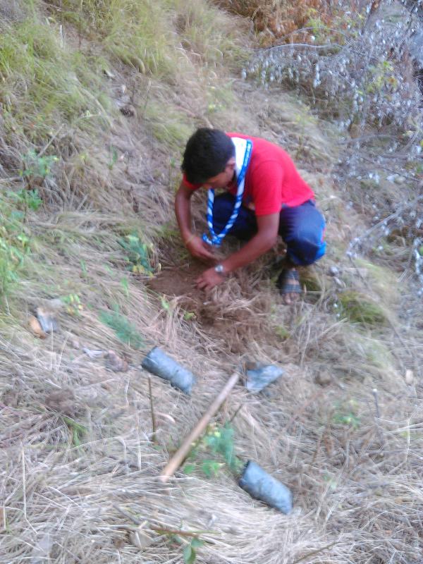 plantation on my birth day 