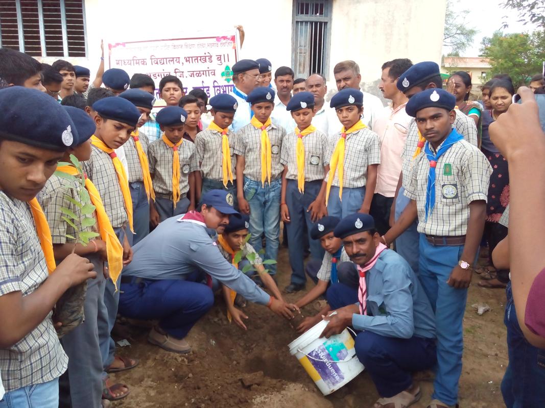 tree plantation programe