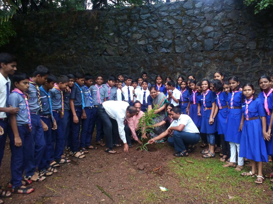 Tree Plantination Programme
