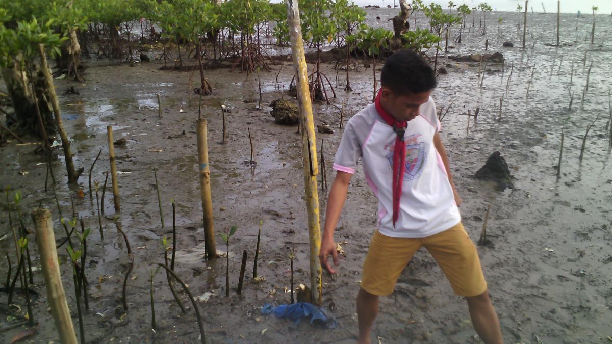 Coastal Clean Up/Fun Run and Mangrove Planting