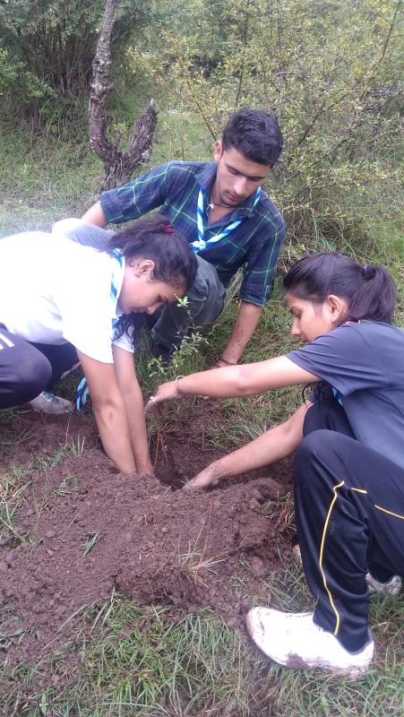 environment 