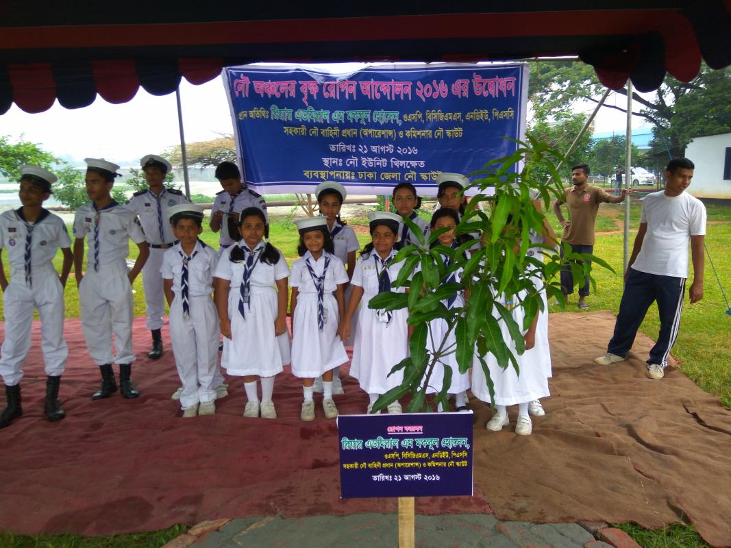 tree plantation