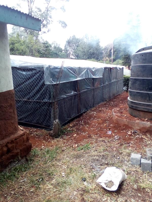 Final Pond area fully installed and constructed