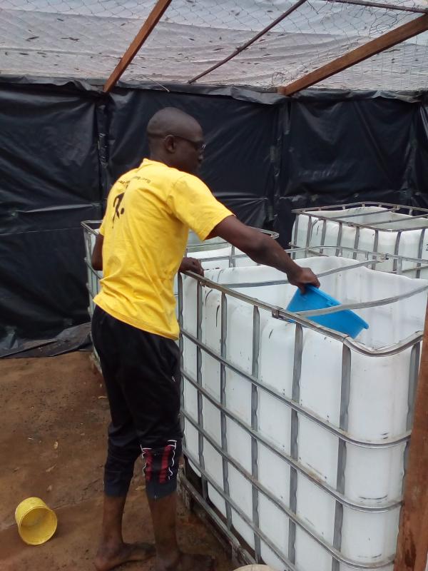 Food for life Project - Cleaning of Fish Tanks