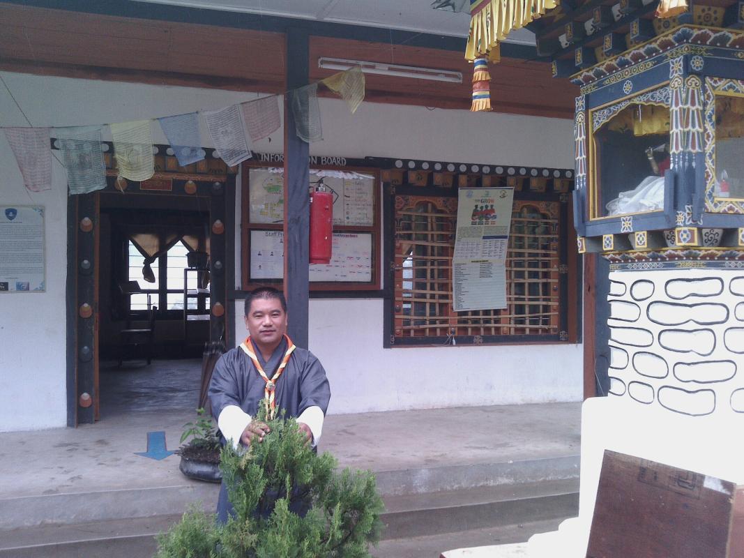 Peace Day (Adoption of Plant)