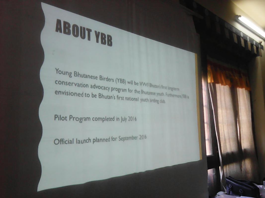 Young Bhutanese Bird.