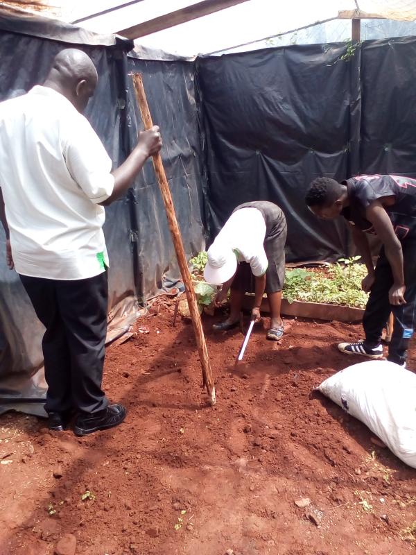 Food for life Project - Learning on Economical use of small space for food production