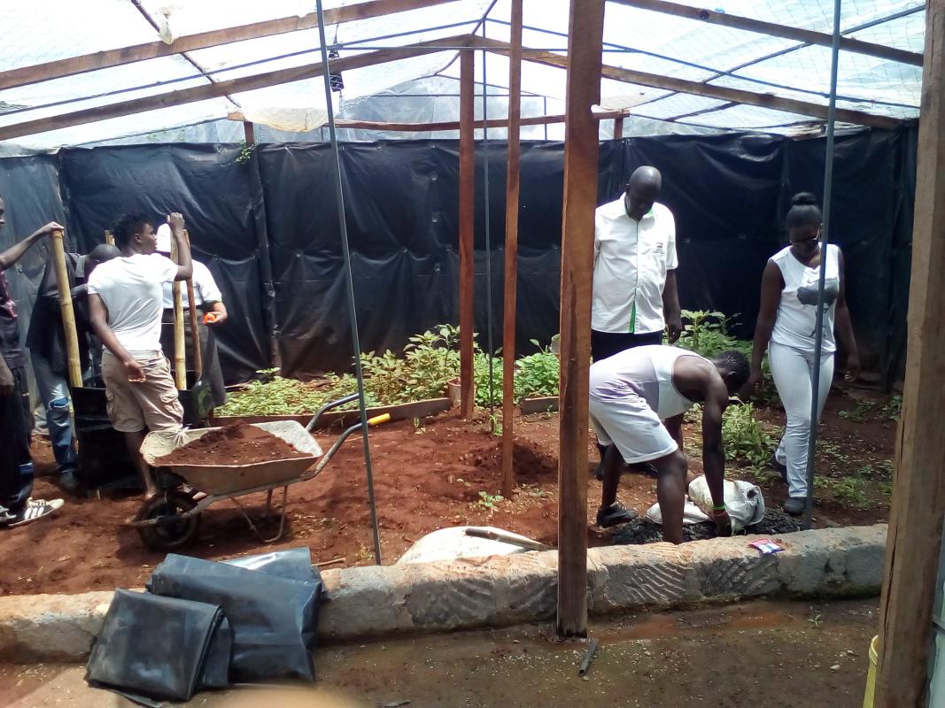 MoP Food for Project ( Vegetable Garden)