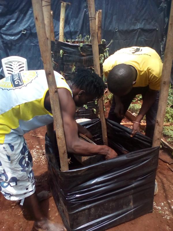 MoP Food for Life Project ( Multi Story Garden)