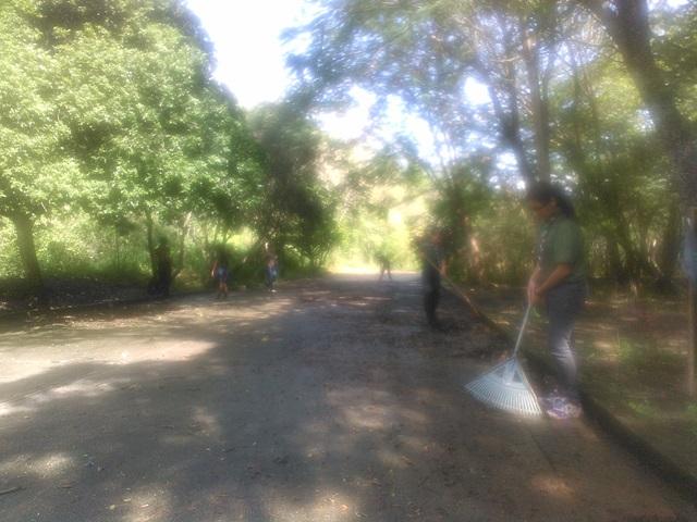 Recuperando nuestro hogar 