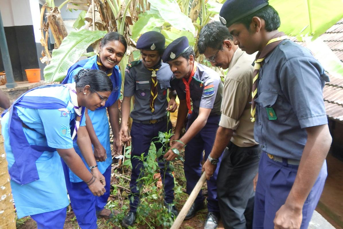 Creating Green World..