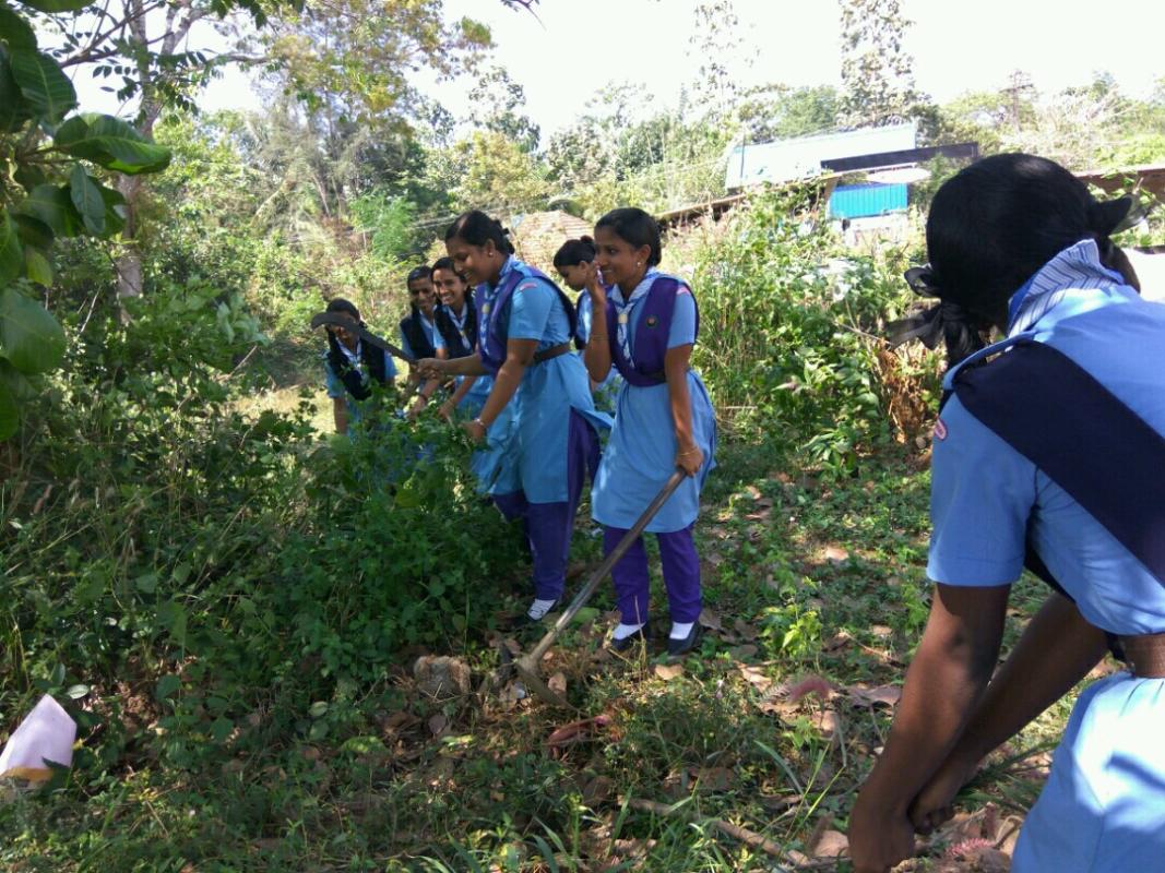 farming and cleaning