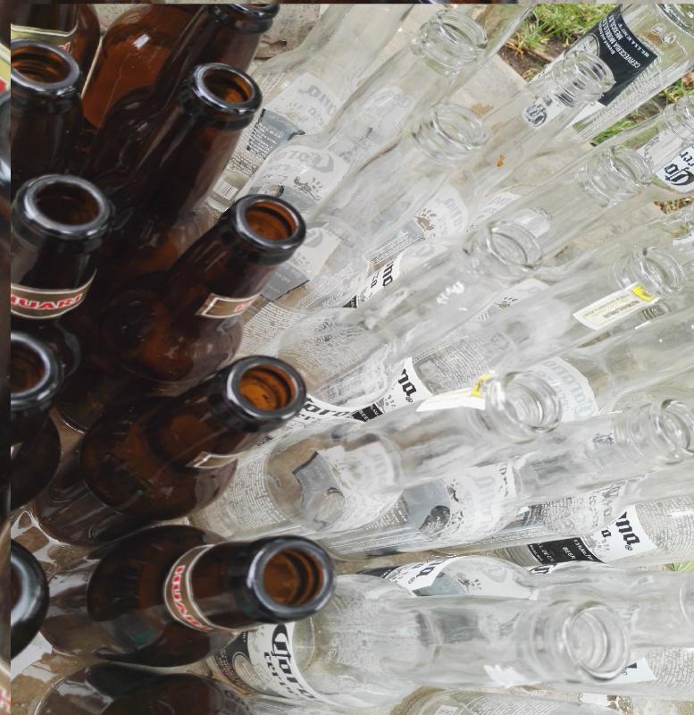 Reciclaneta