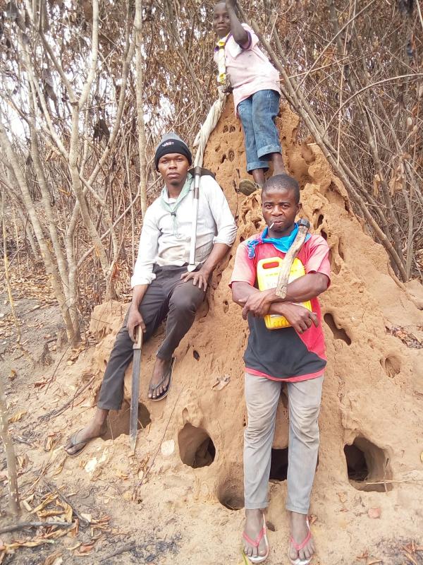 Scouts in Obot Akara Plant Cassava and Melon 