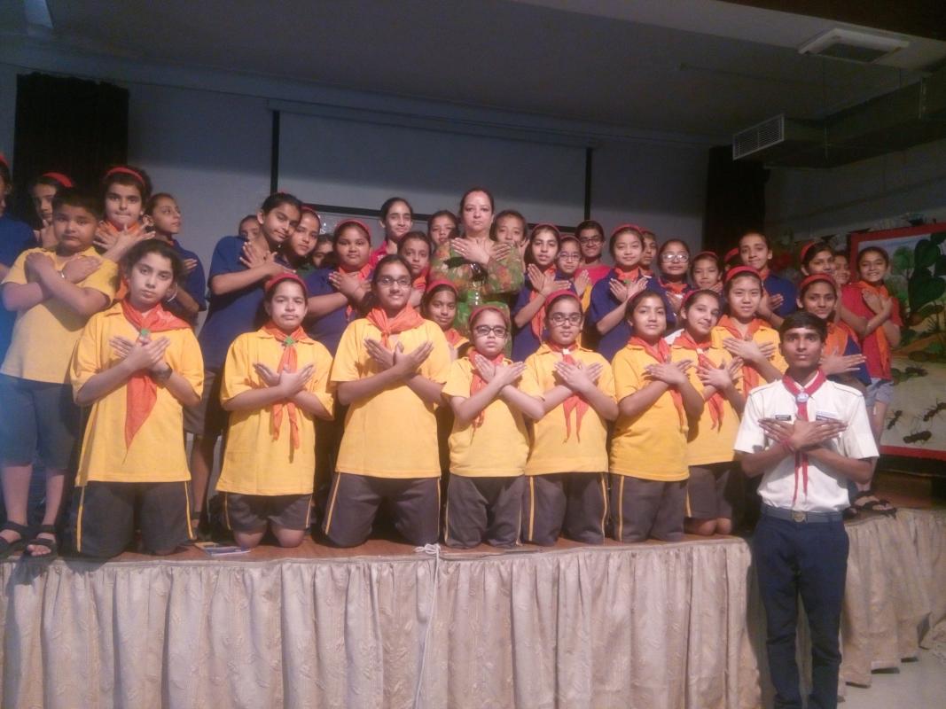 Messenger of Peace Information