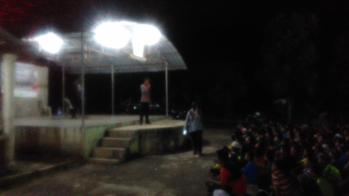 Scout's Cultural Night 