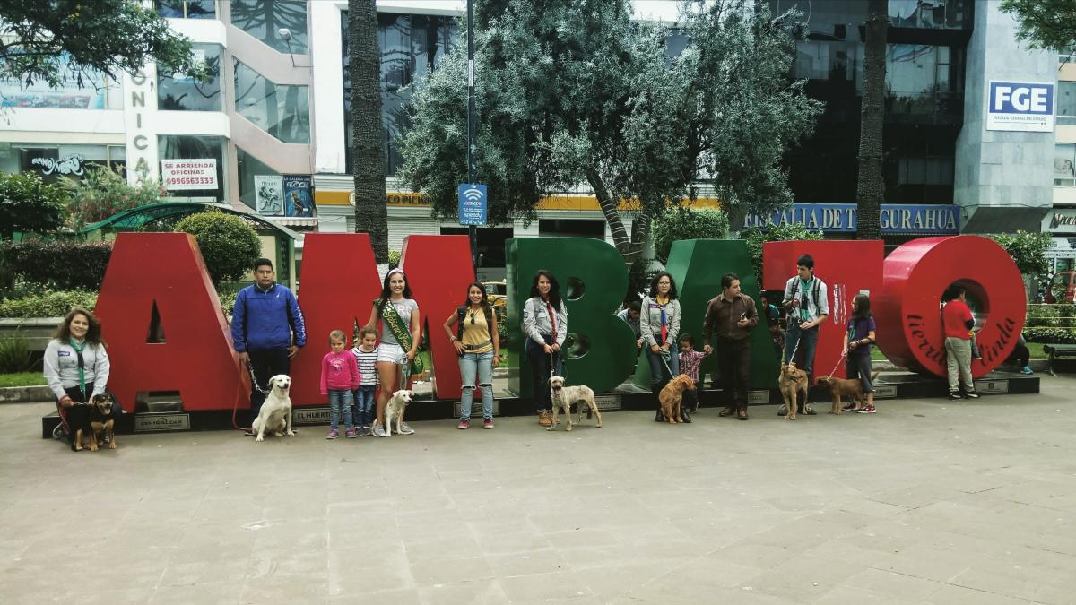 Moraleja Peluda