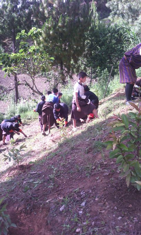Plantation