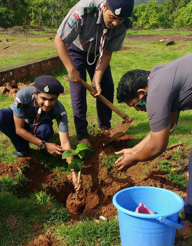 World Enviornment Day